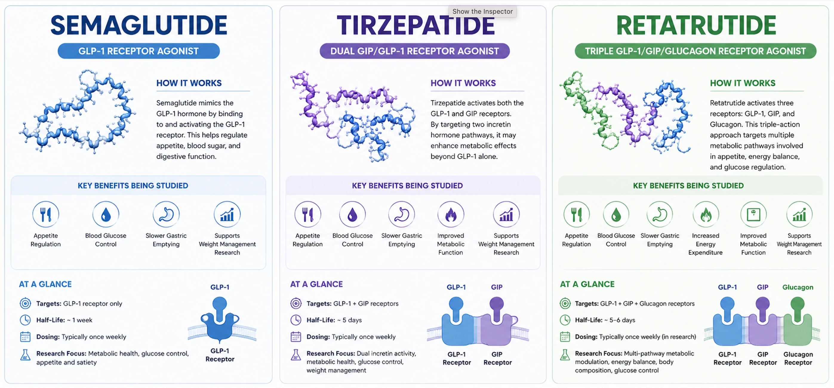 GLP-1 Agonists Explained: